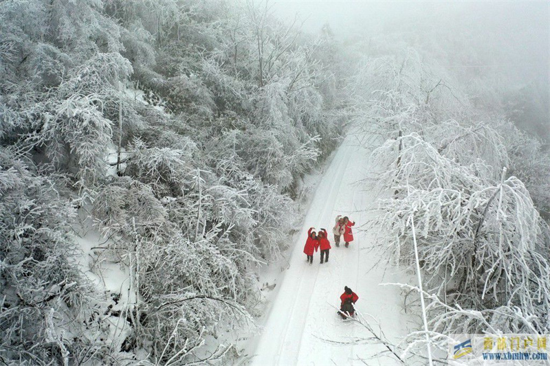 重庆黔江：高山春雪醉游客(图1)