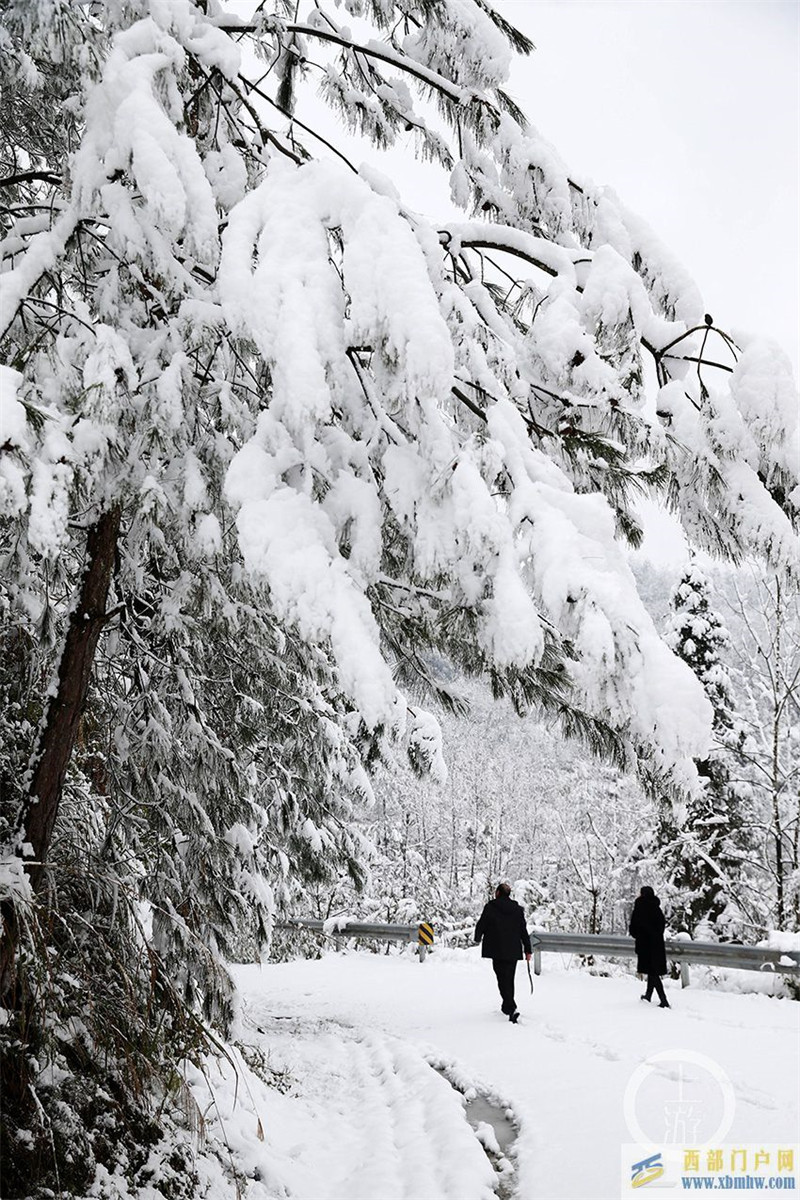 重庆黔江：上班第一天进雪山(图4)