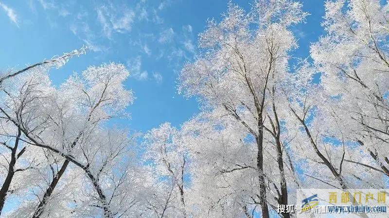 “新疆人游阿勒泰”首趟包机已落地，快来深度体验雪都阿勒泰！(图4)