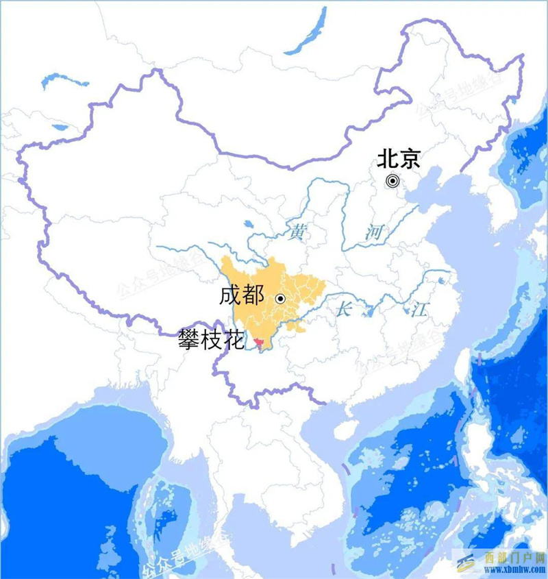 四川攀枝花是什么花？(图3)