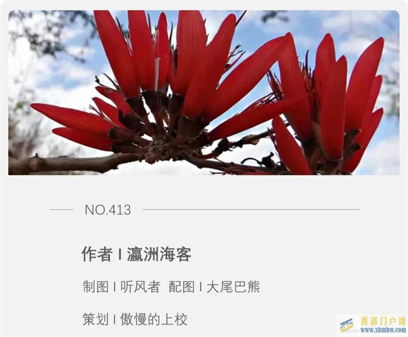 四川攀枝花是什么花？(图1)