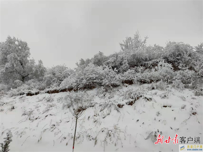 天水：雾凇美景惹人醉(图1)