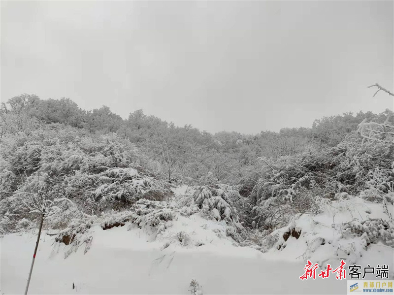 天水：雾凇美景惹人醉(图3)