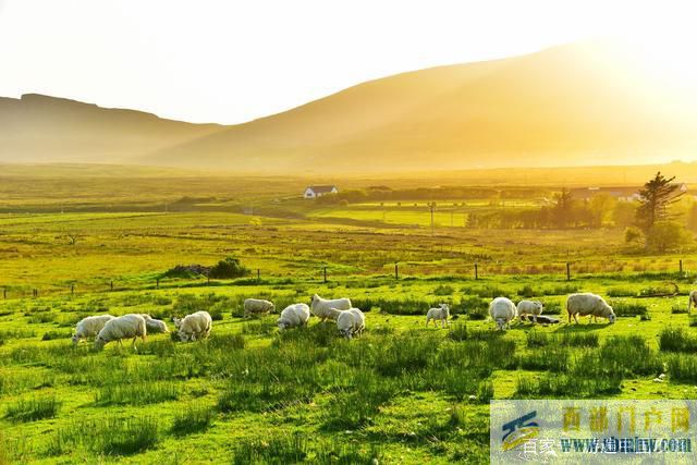 锡林郭勒旅游景点——游遍中国(图9)