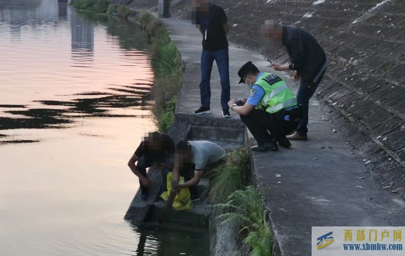 绵阳一老人捕获一条体长80多厘米野生大鲵热心市民重金购买放生(图1)