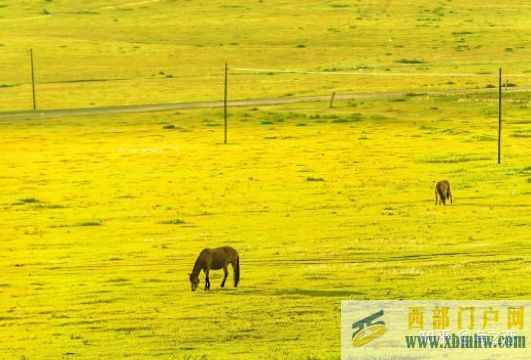 内蒙古乌兰察布旅游攻略(图3)