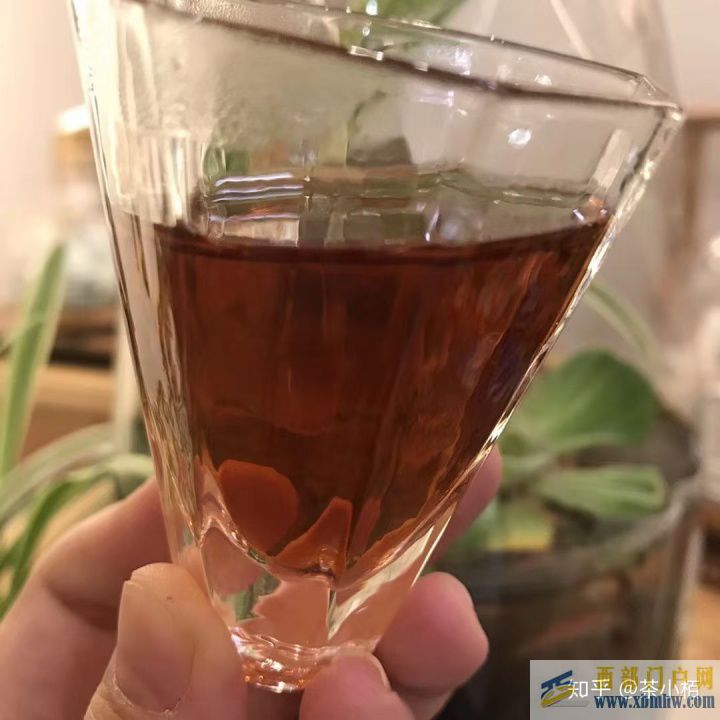 什么是普洱茶普洱茶有什么功效(图3)