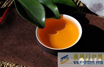 传统普洱茶VS现代普洱茶，有哪些不同呢？(图3)