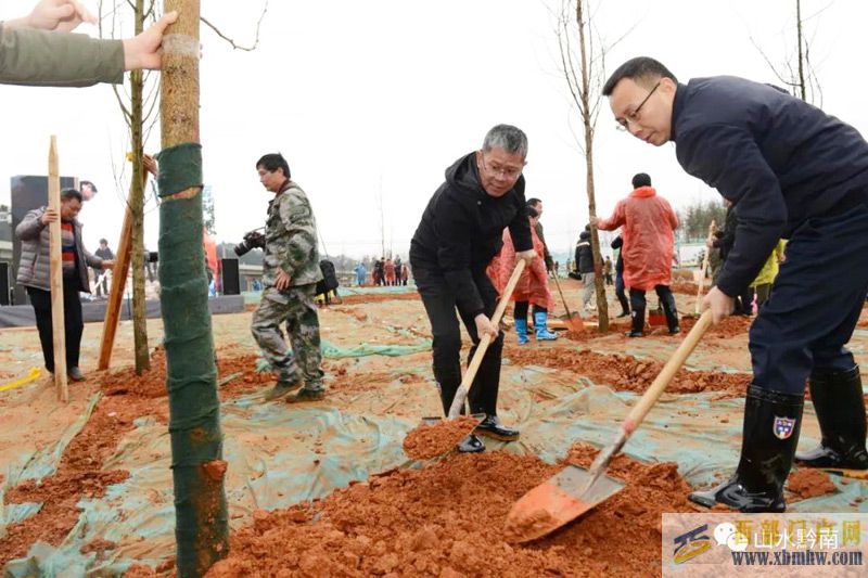 7800余名干部职工为黔南“添新绿”(图1)