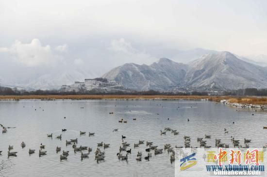 拉萨雪景美如画(图3)