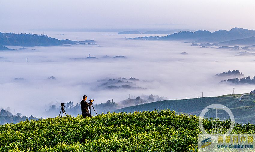 重庆南川：生态美景入画来(图1)