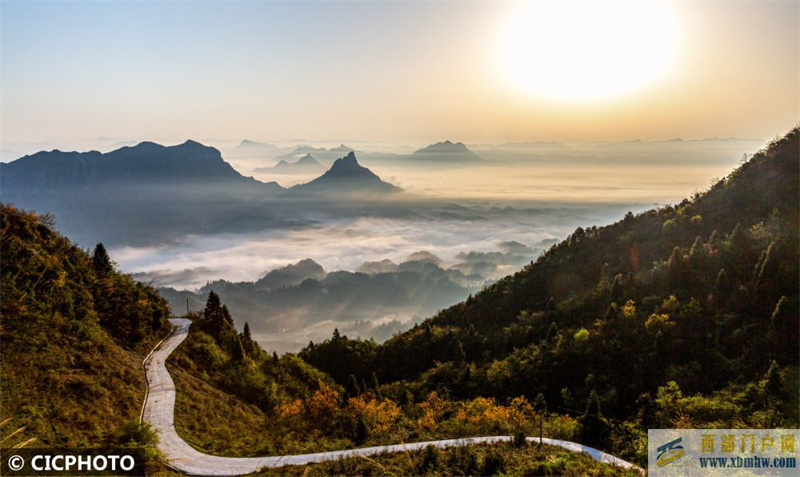 重庆南川：春和景明晨雾如画(图3)