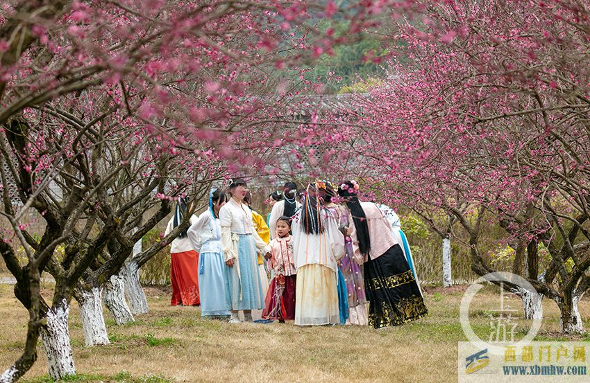 重庆南川：惊蛰赏花春意浓(图3)