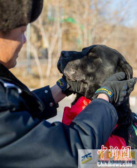 内蒙古二连浩特为警犬举行退役仪式(图1)