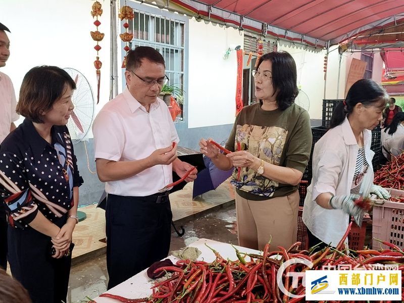 广西台办赴北海市开展海峡两岸乡村振兴合作基地创建工作调研(图1)