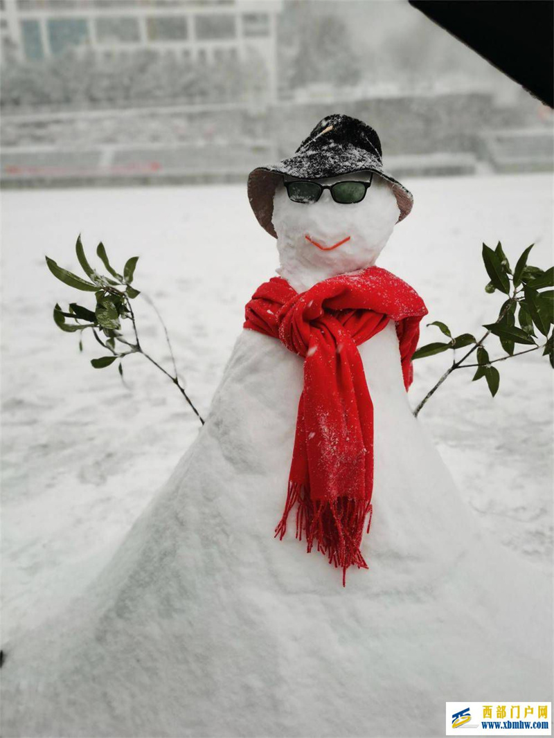 望巴蜀酉阳下雪啦！下得那么深，下得那么认真……(图4)