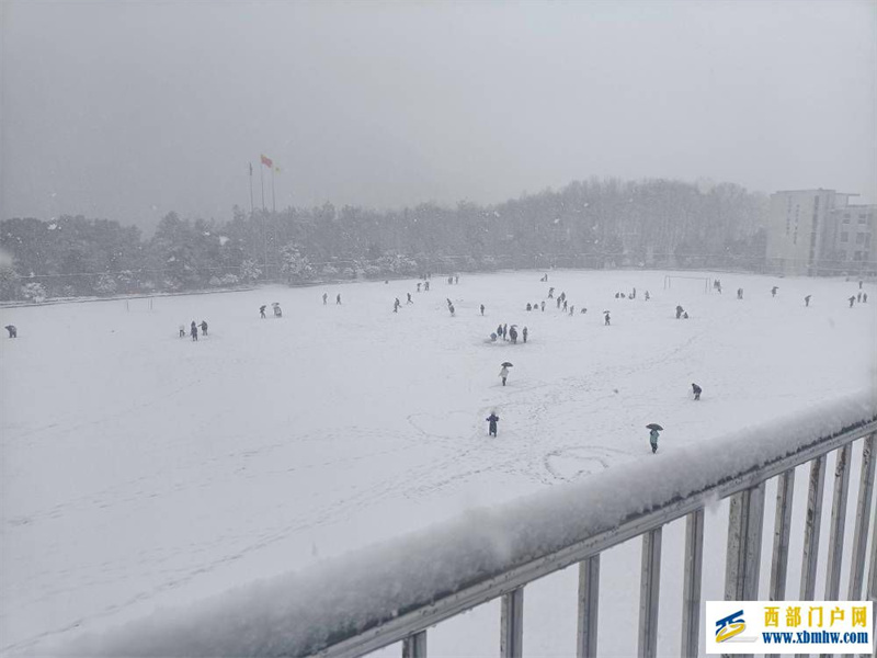 望巴蜀酉阳下雪啦！下得那么深，下得那么认真……(图3)